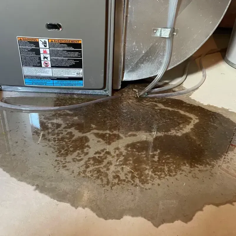 Appliance Leak Cleanup in Lake Village, AR